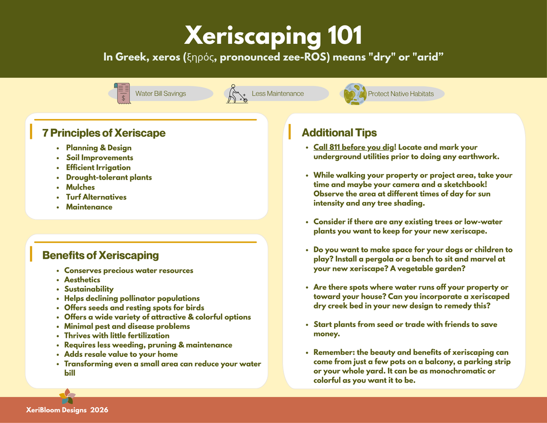 Welcome! Here is some basic xeriscape information to get you started.