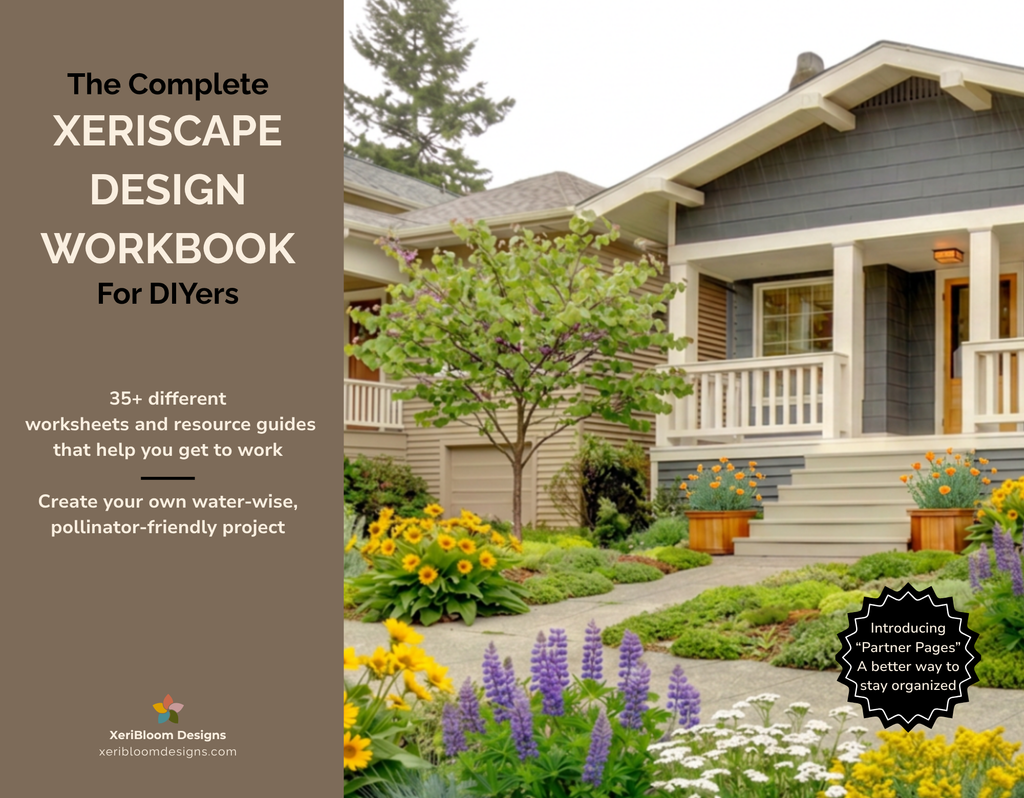 The Complete Xeriscape Design Workbook for DIYers