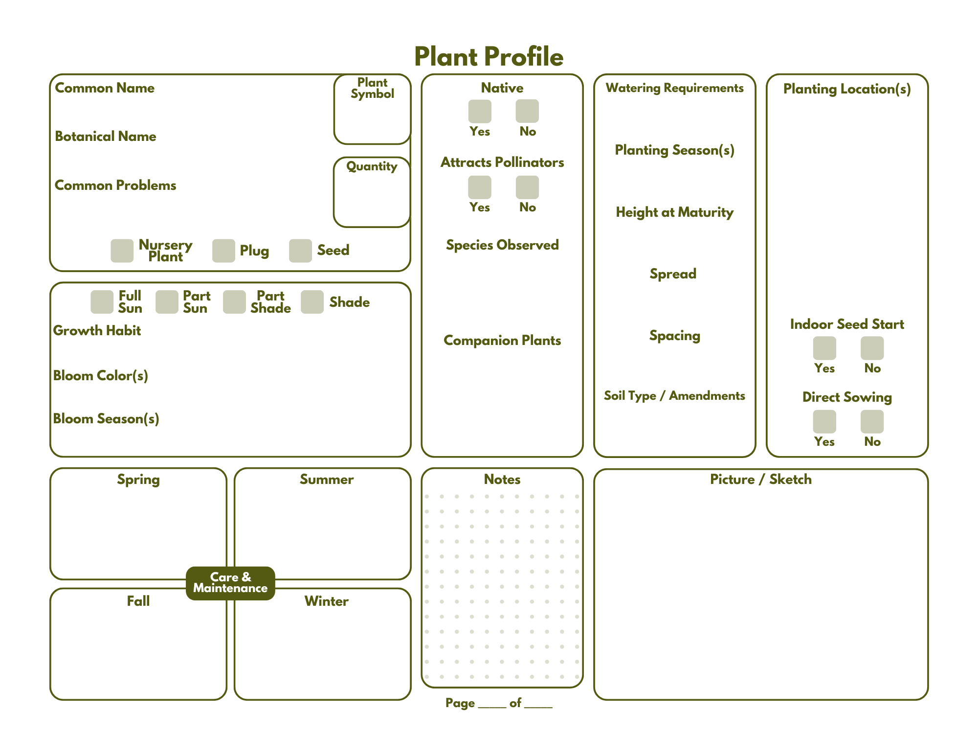 Printable Xeriscape Template Bundle - Minimalist