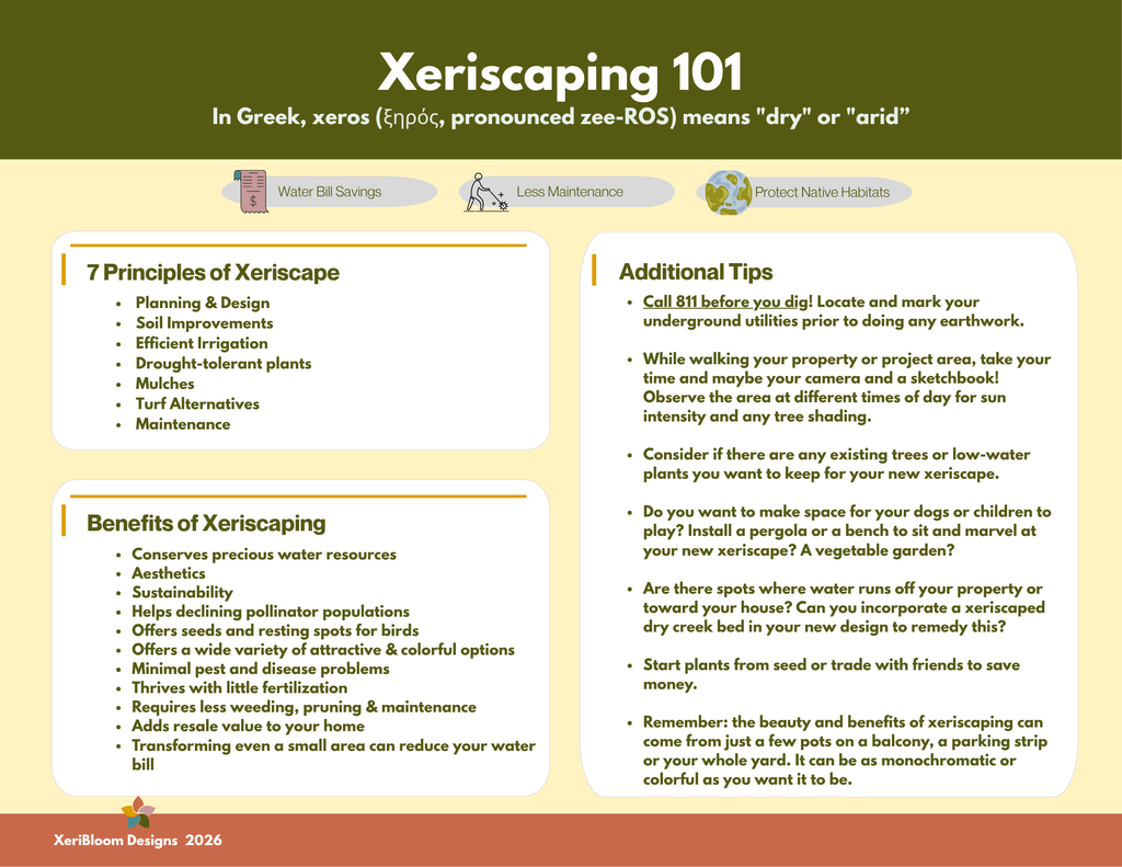 Printable Xeriscape Template Bundle - Minimalist