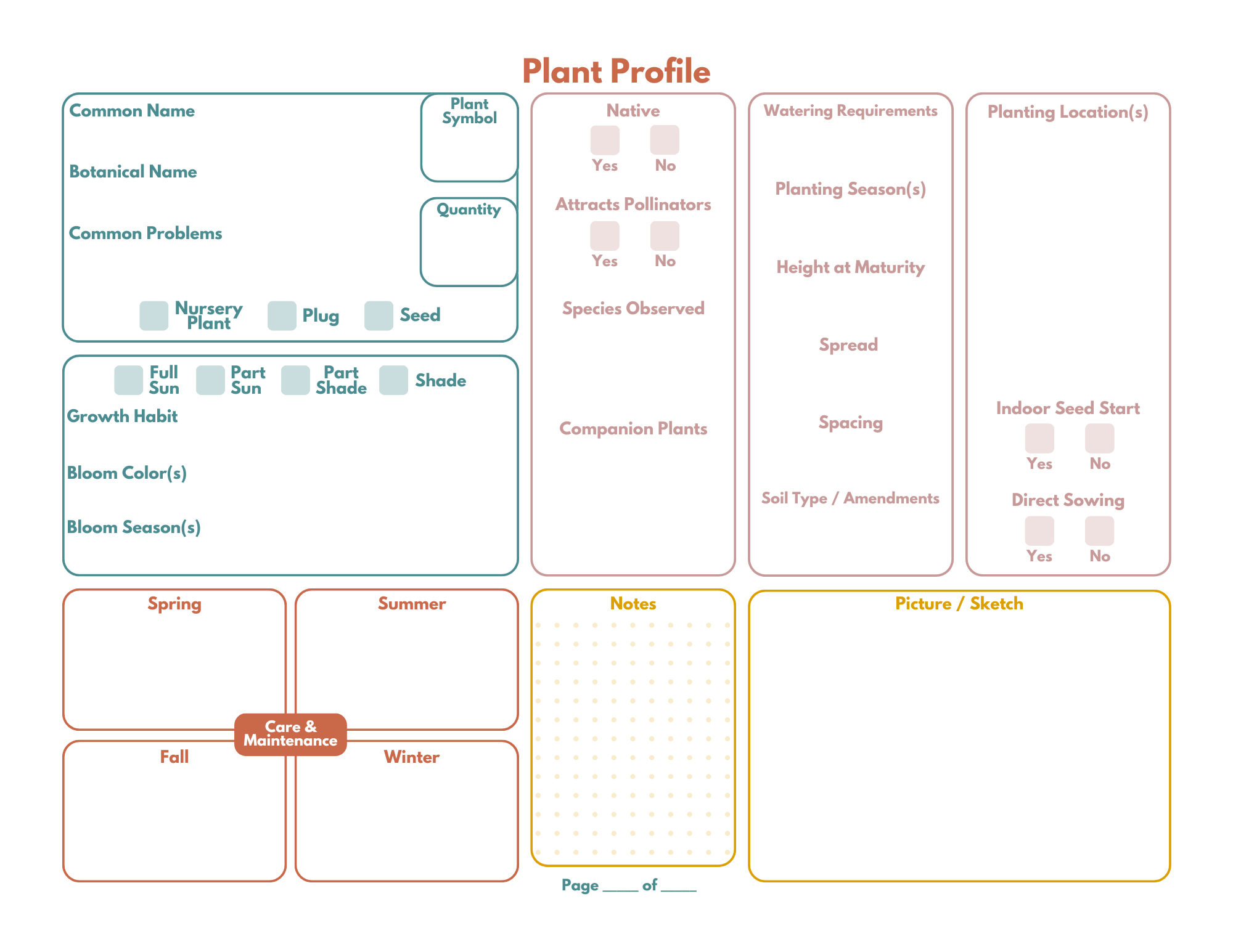 Printable Xeriscape Template Bundle - Signature Bloom