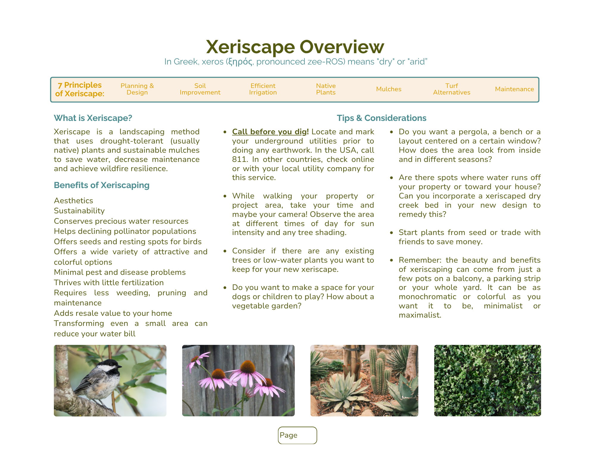 The Complete Xeriscape Design Workbook for DIYers
